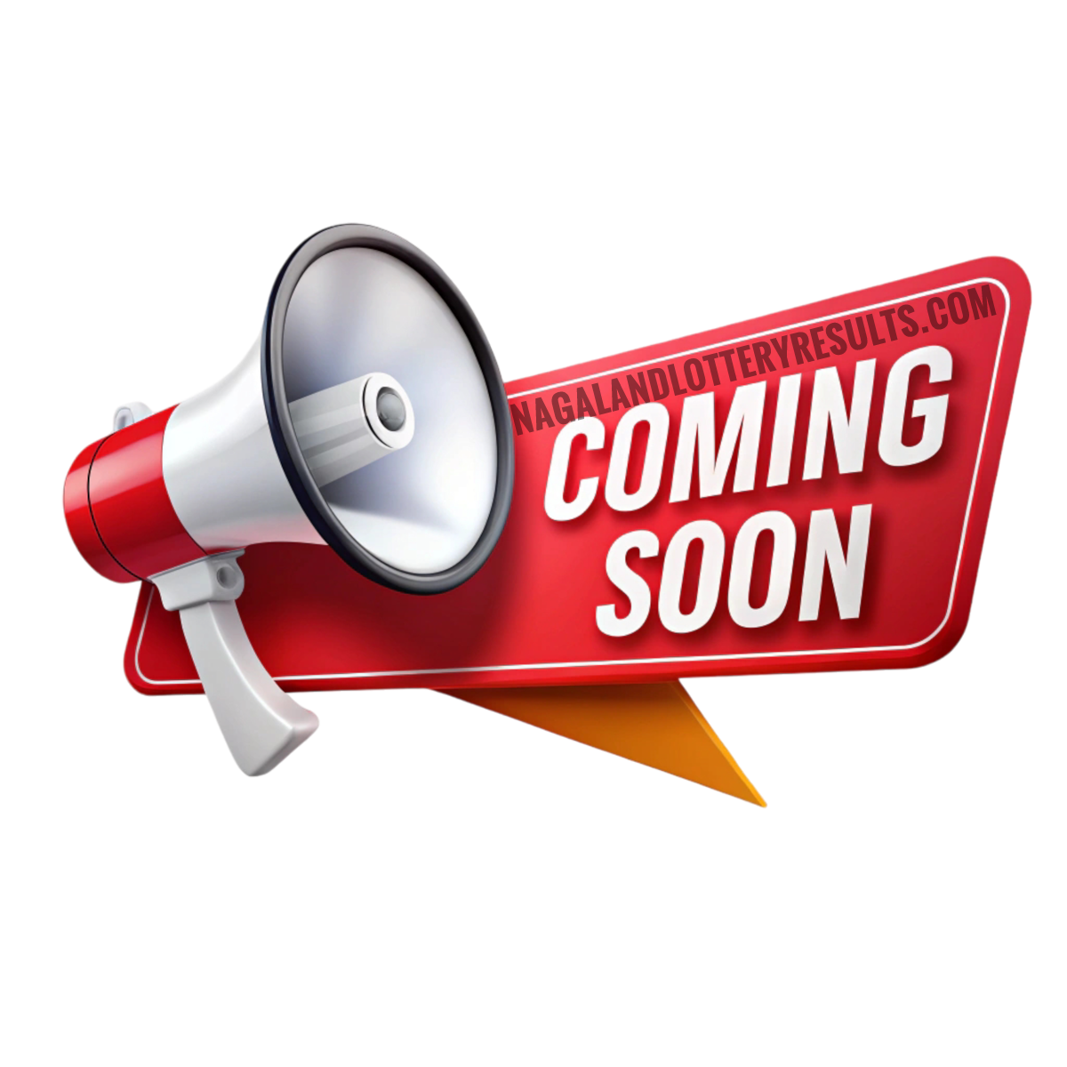 Nagaland Lottery Results Today