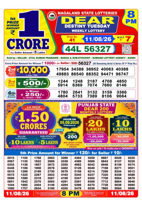 Nagaland State Lottery Result 11/08/2026
