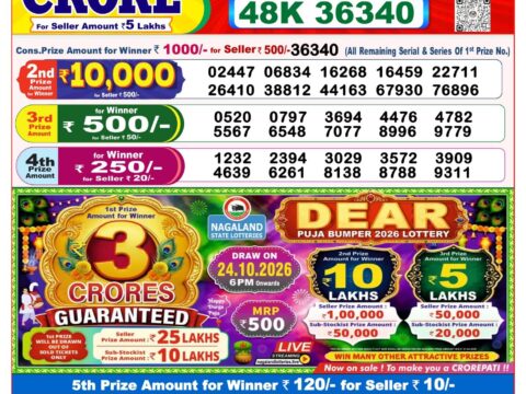 Nagaland State Lottery Result 11/10/2026