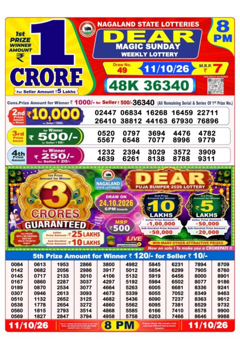 Nagaland State Lottery Result 11/10/2026